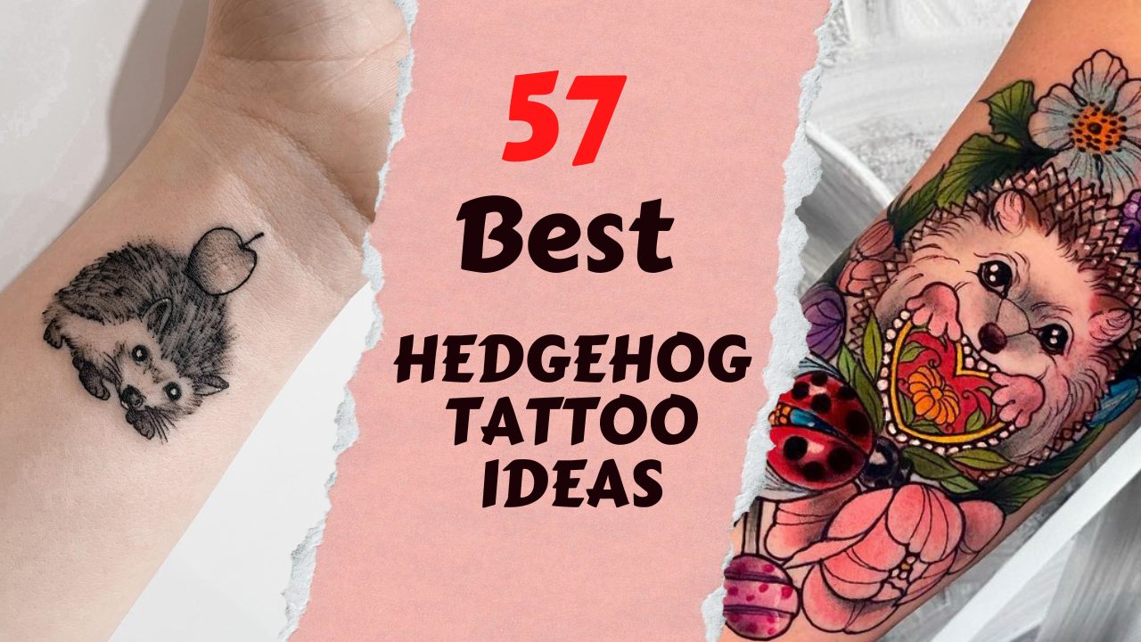 57 Best Hedgehog Tattoo Ideas