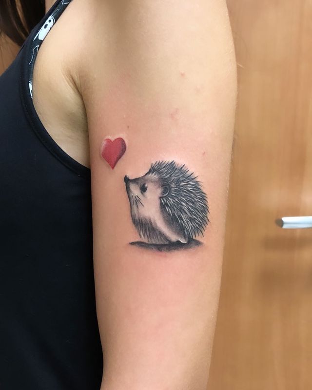 hedgehog tattoo - IG augustofanellimoneta