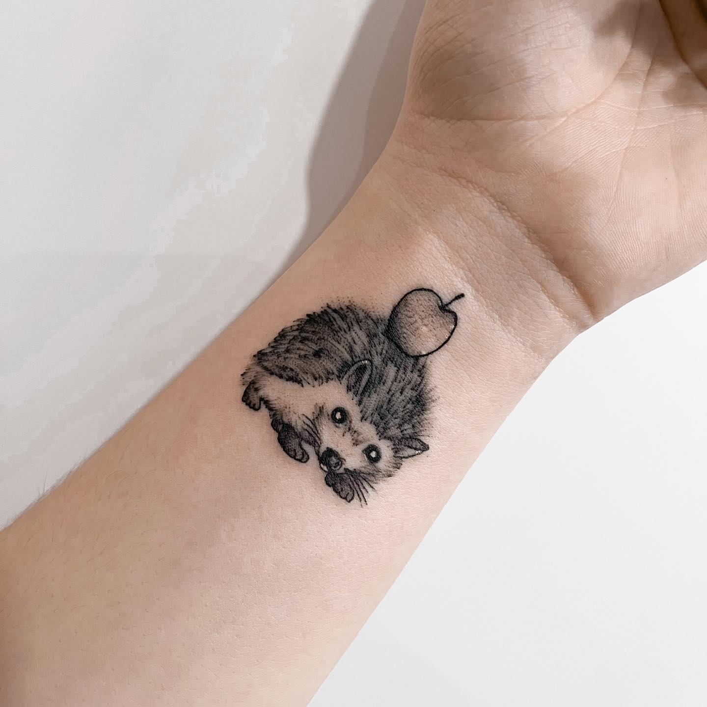 hedgehog tattoo - IG piercingowaola_ta2