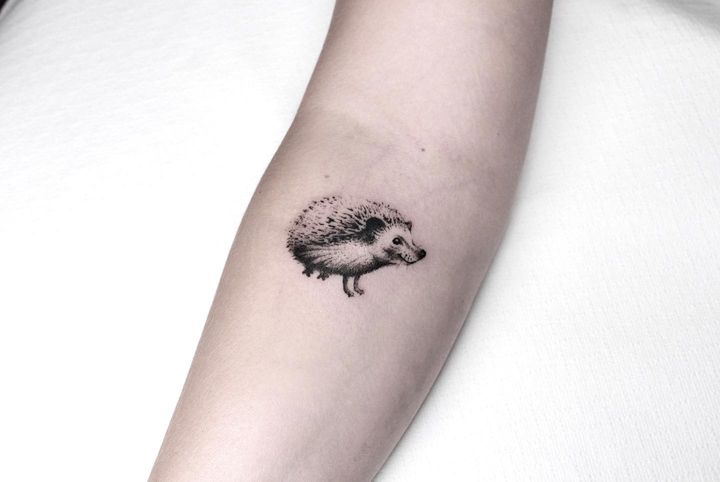 hedgehog tattoo - IG pszyps.tattoo
