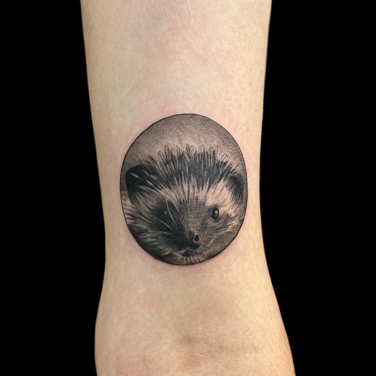 hedgehog tattoo - IG fran.cescatattoo